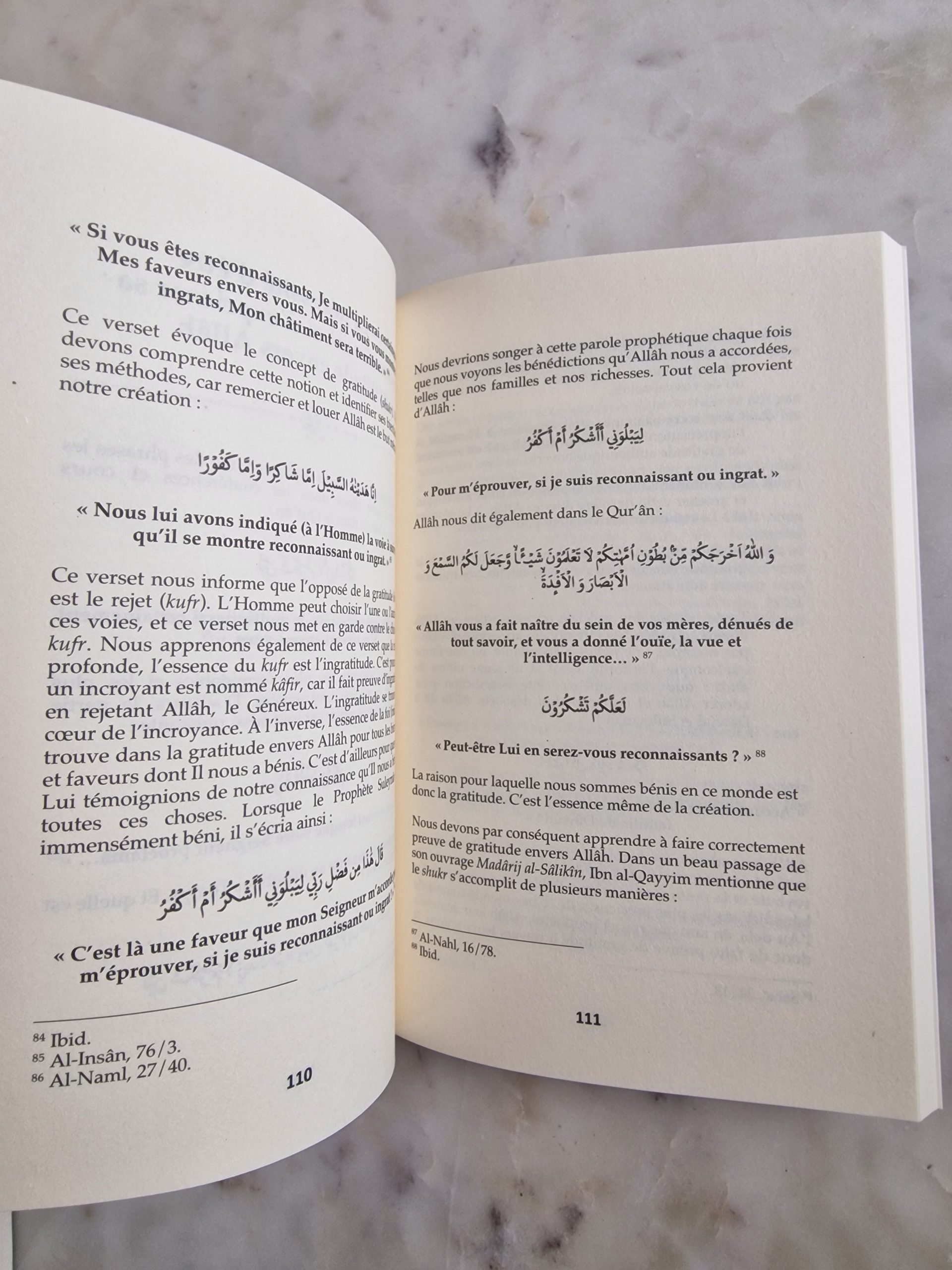 Les paraboles du Qu'ran