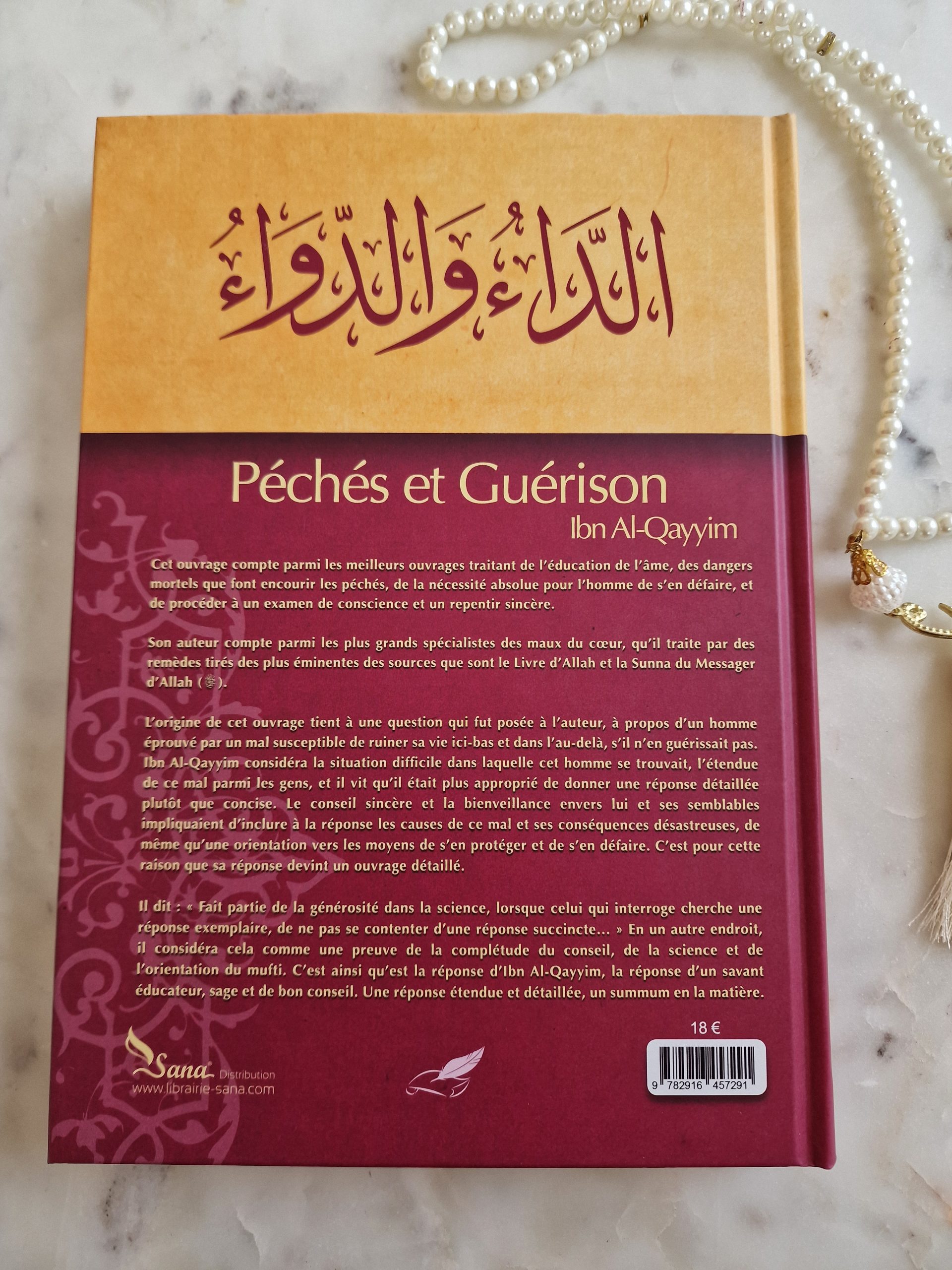 Péchés et guérison d'Ibn Al Qayim - Editions Tawbah
