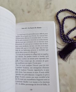 Saladin et l'Anneau Magique : Remonter le Temps, Rencontrer l'Histoire (T3)