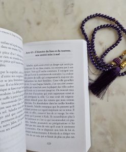 Saladin et l'Anneau Magique : Remonter le Temps, Rencontrer l'Histoire (T3)