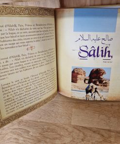 Histoires des Porphètes racontées par Le Coran - Houd - Salih - Lout