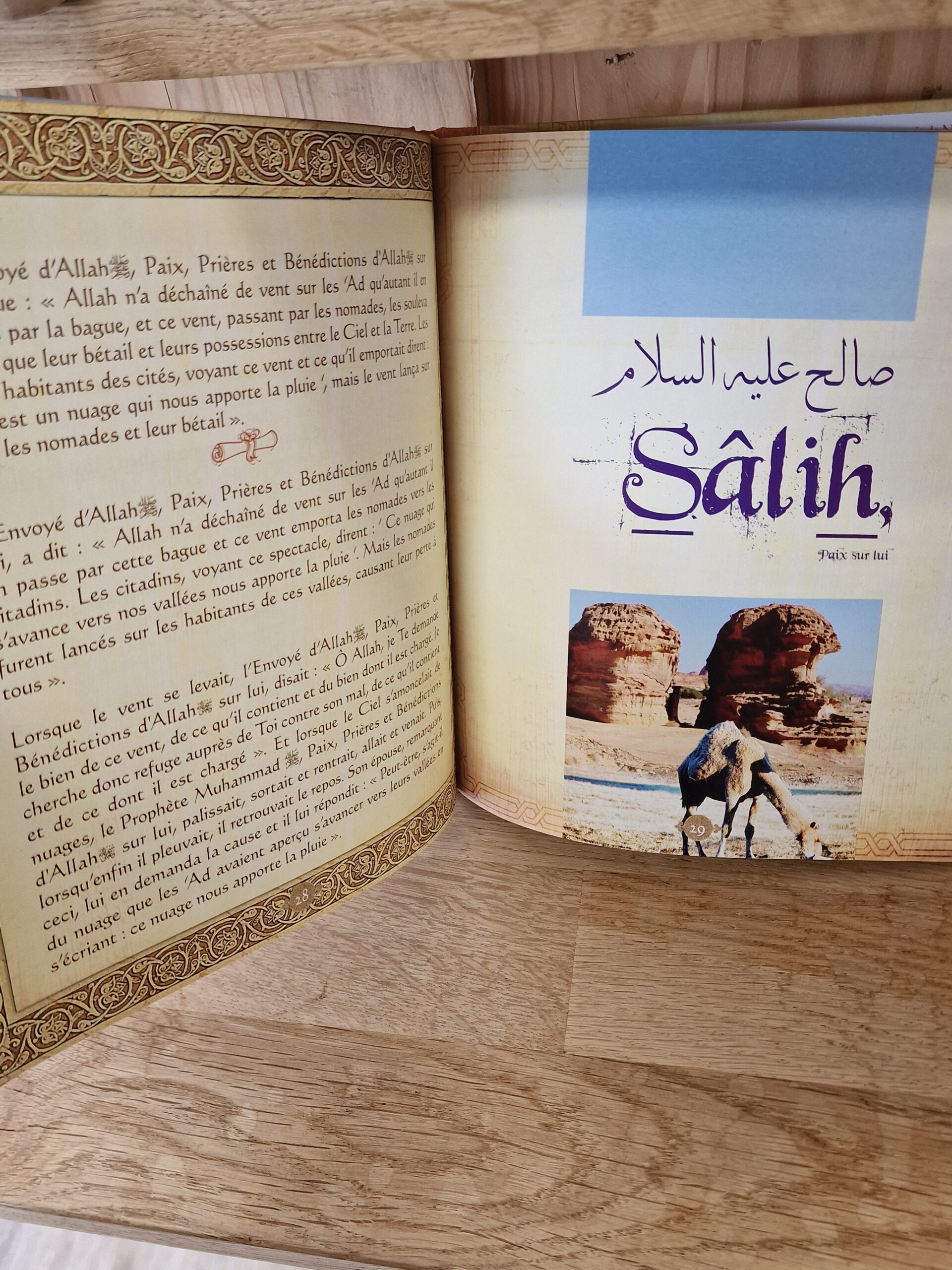 Histoires des Porphètes racontées par Le Coran - Houd - Salih - Lout