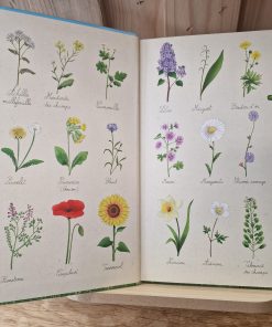 Alternative view of le rêve d'Amani - Kelly O'Maïla - Editions O'Maïla