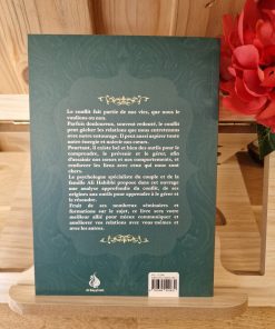 Gestion des conflits Ali Habibi