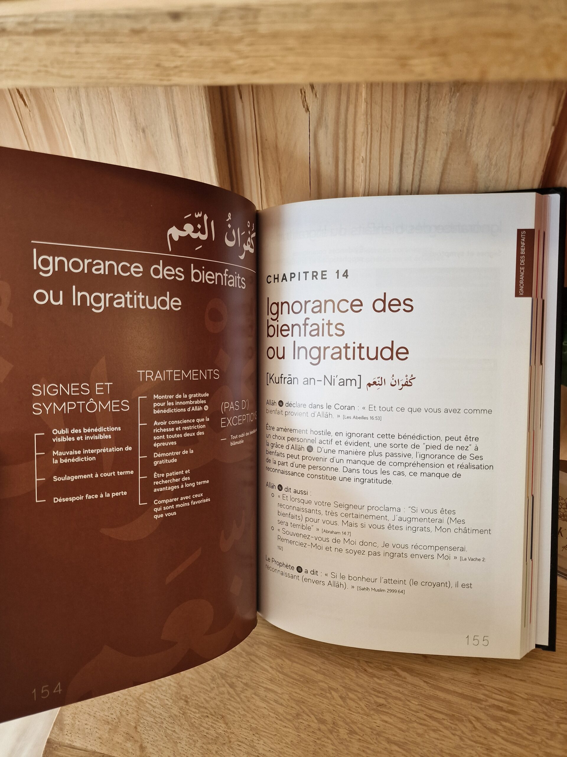 extrait du livre le manuel de la médecine spirituelle