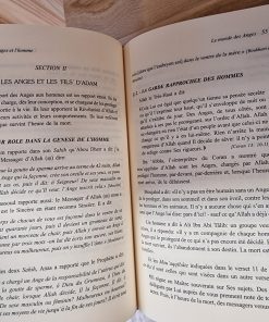 extrait du livre le monde des anges Dr Al Achqar - iiph - collection sur la foi islamique
