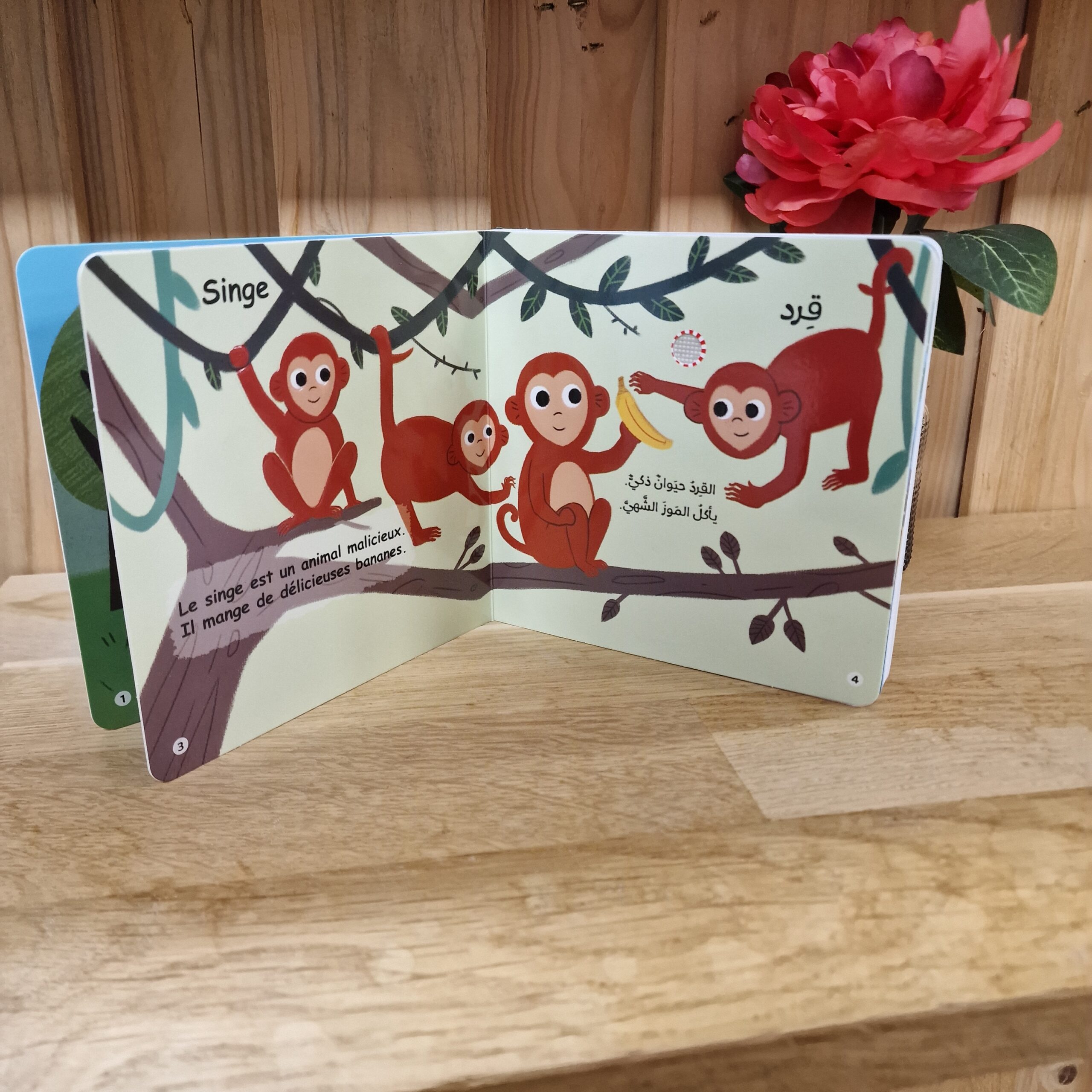 Livre sonore - Arabe / Français - La jungle – Image 2